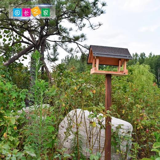 溪谷森林自然教育鸟类取食平台 商品图1