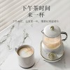 艾贝丽养生杯 ABL-YSH003 养生壶 商品缩略图0