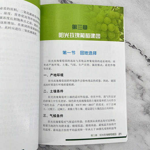 阳光玫瑰栽培技术宝典 商品图6