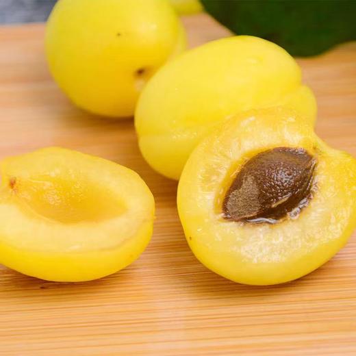 【新疆好物】2023新疆小白杏 黄中透白 2斤/4斤装 商品图2