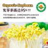 内蒙古产有机黄豆 商品缩略图3