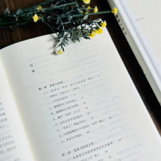 溯源与释义：海德格尔、胡塞尔、尼采（未来哲学丛书） 梁家荣 著 商务印书馆 商品图2