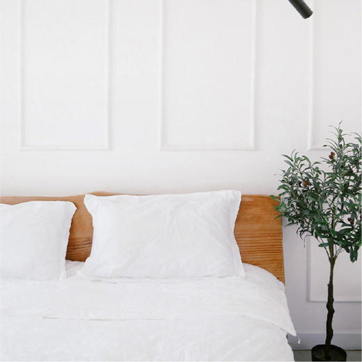 代发 60支贡缎棉春上双宫茧6A级桑蚕丝四季子母被  一年四季都能盖 商品图3