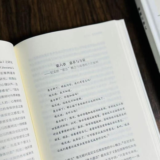 溯源与释义：海德格尔、胡塞尔、尼采（未来哲学丛书） 梁家荣 著 商务印书馆 商品图5