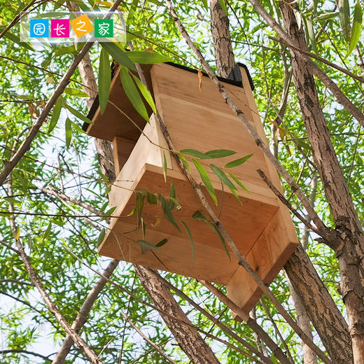 溪谷森林自然教育开放式鸟巢 商品图1