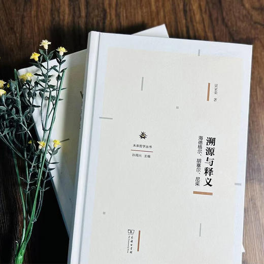 溯源与释义：海德格尔、胡塞尔、尼采（未来哲学丛书） 梁家荣 著 商务印书馆 商品图1