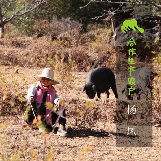 生态腊火腿  | 合作生产 * Ecological cured meat | Coproduction 商品图1