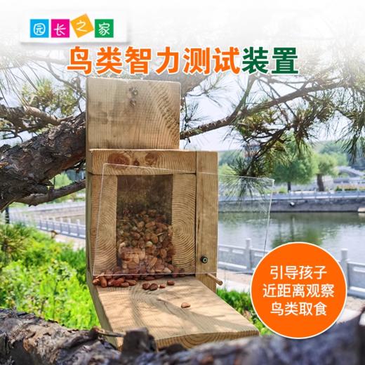 溪谷森林自然教育鸟类智力测试装置 商品图0