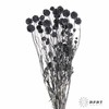 永生花材 | 风车果黑 商品缩略图2