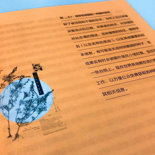 隐蔽的宇宙：探索人与自然和谐共生的未来 生态系统生物多样性人与自然环境保护绿色发展气候变化物种多样性动植物科普书籍 商品图3