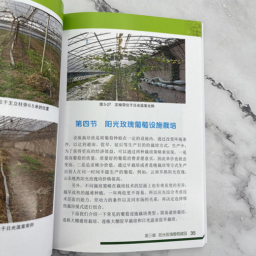 阳光玫瑰栽培技术宝典 商品图3