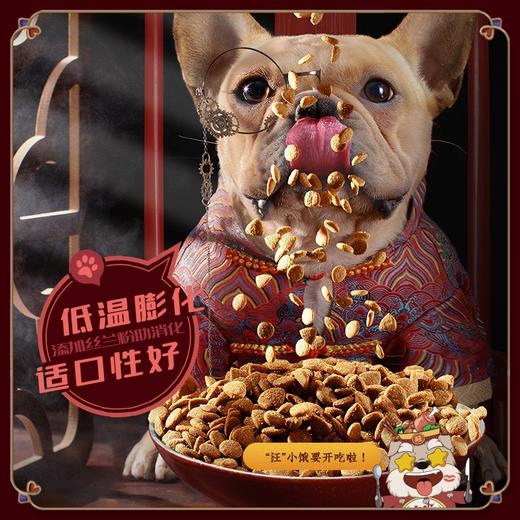 尾巴先生小型犬幼犬比熊博美贵宾泰迪贵宾田园犬专用通用型狗粮 商品图2