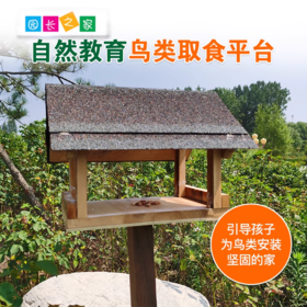 溪谷森林自然教育鸟类取食平台