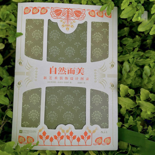 自然而美 新艺术装饰设计图录 莫里斯·皮亚尔-韦纳伊 著 艺术 商品图0