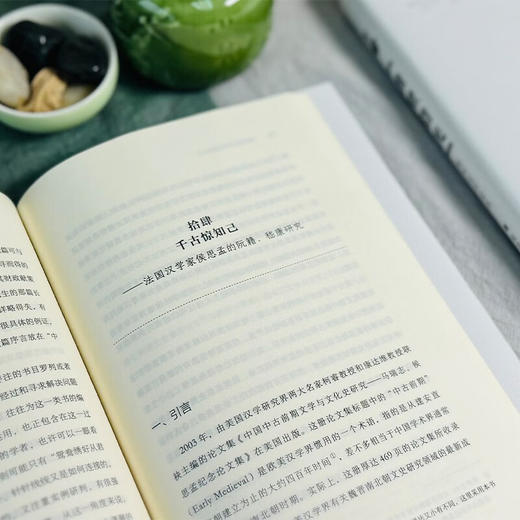 凿壁借光：海外汉学论丛 程章灿 著 商务印书馆 商品图4