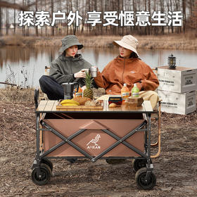 【户外运动】-露营推车可折叠手推户外野餐便携小手拉车