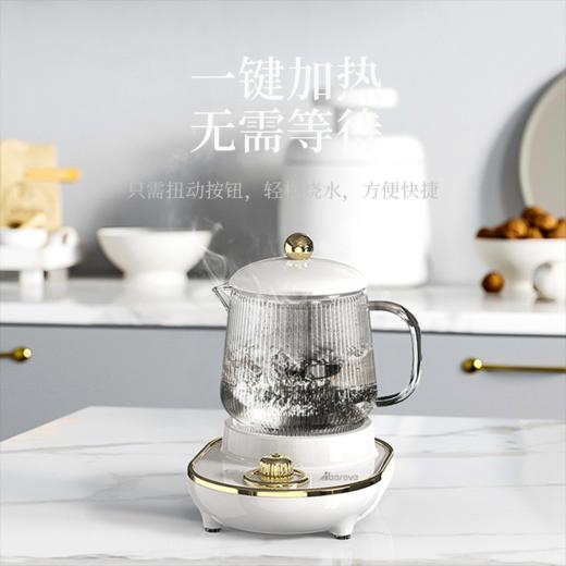艾贝丽养生杯 ABL-YSH003 养生壶 商品图1