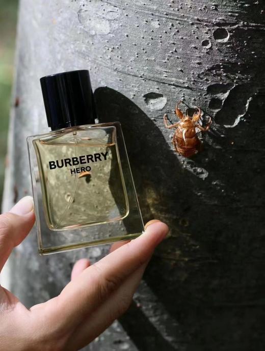BURBERRY 巴宝莉 英雄香 商品图1