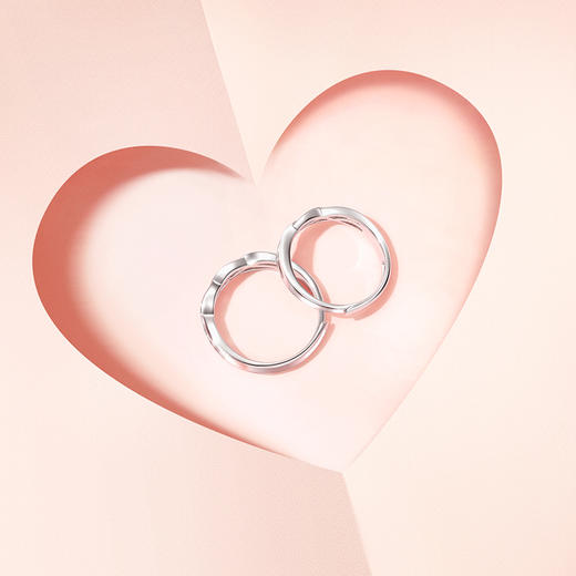 【连理枝对戒】Fanci范琦银饰轻奢情侣对戒 下单赠精美礼盒 顺丰空运+运费险 商品图3