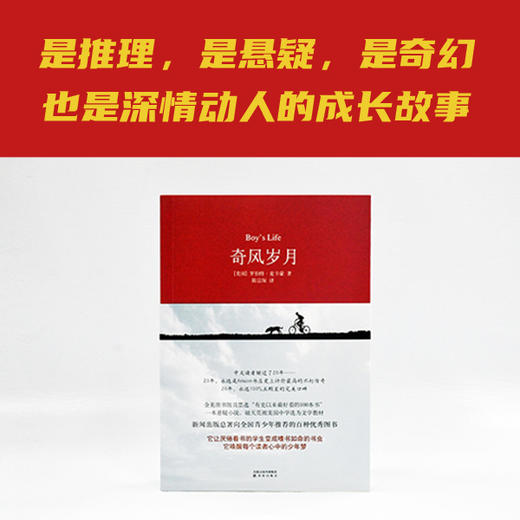 奇风岁月 商品图1