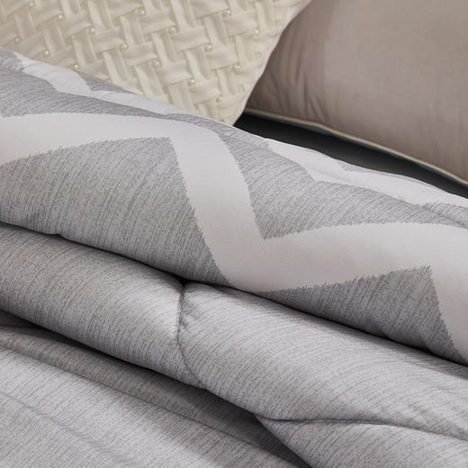 【自营】 水星家纺 典雅负离子抗菌四季被 被子 200x230cm 商品图2