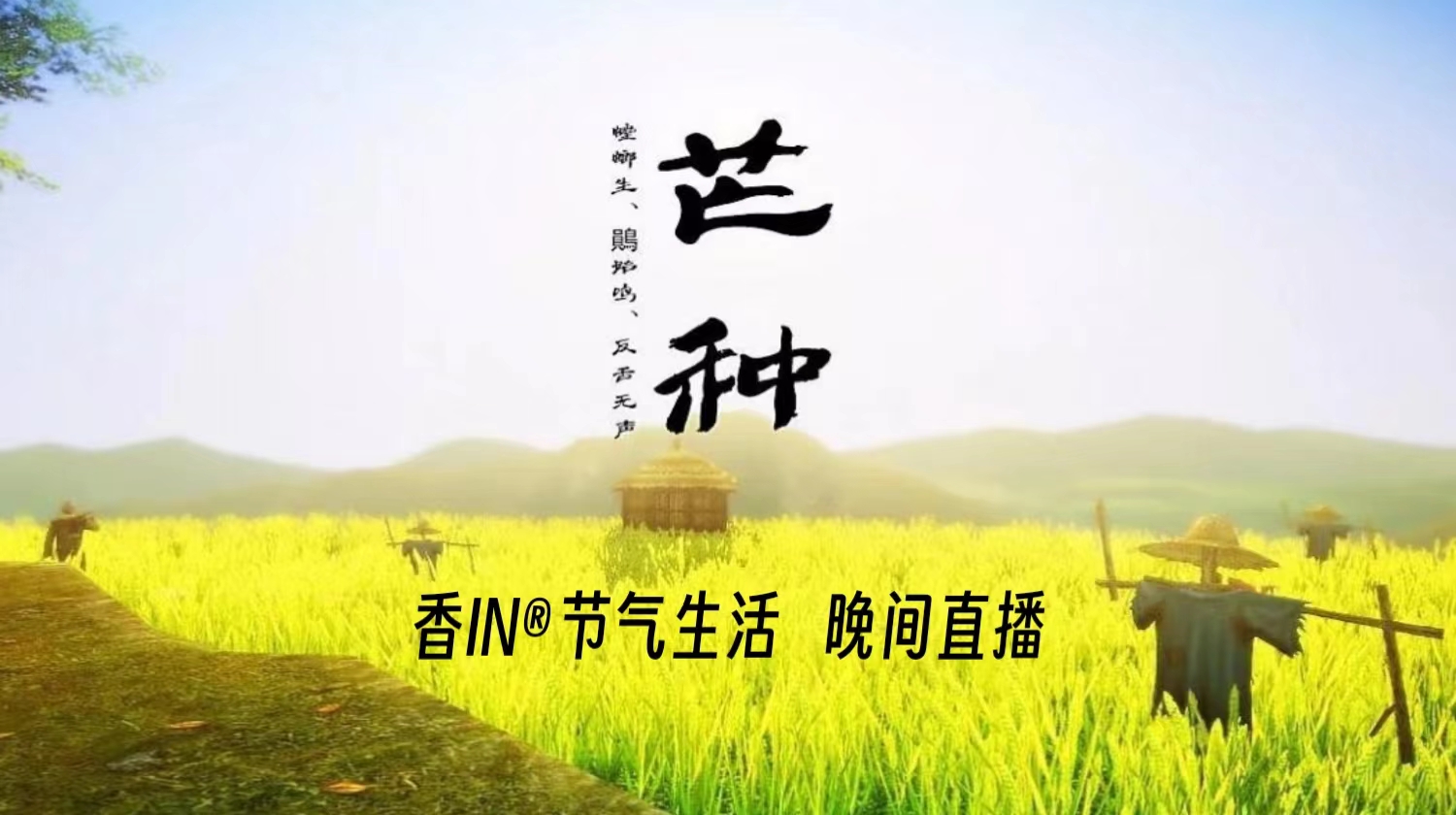 节气生活 芒种晚直播