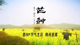 节气生活 芒种晚直播