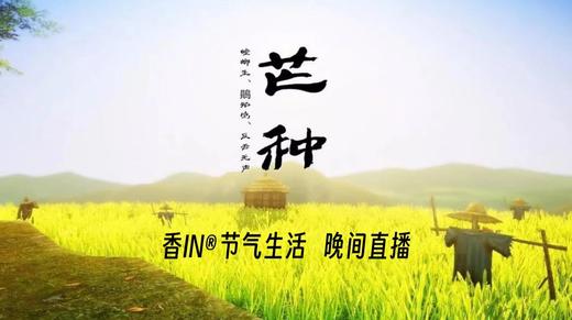 节气生活 芒种晚直播 商品图0