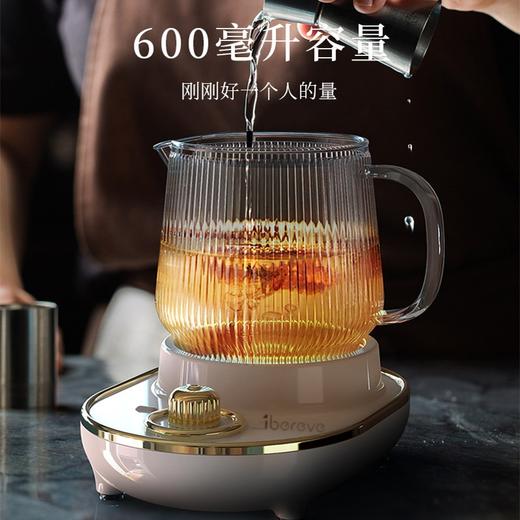 艾贝丽养生杯 ABL-YSH003 养生壶 商品图2