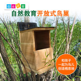溪谷森林自然教育开放式鸟巢