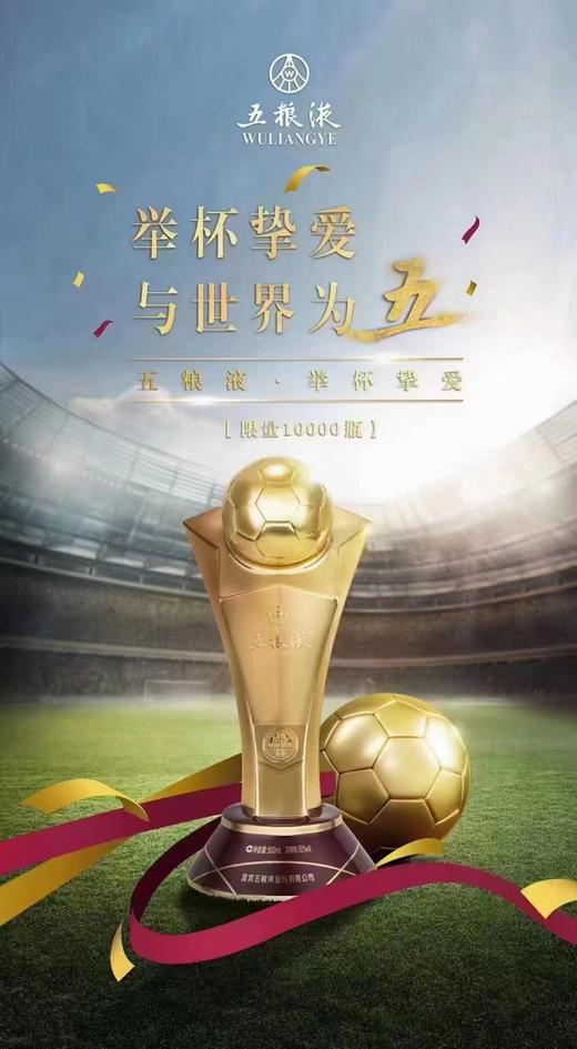 52度五粮液·举杯挚爱（2022年卡塔尔世界杯）纪念酒500ml 单瓶 商品图4