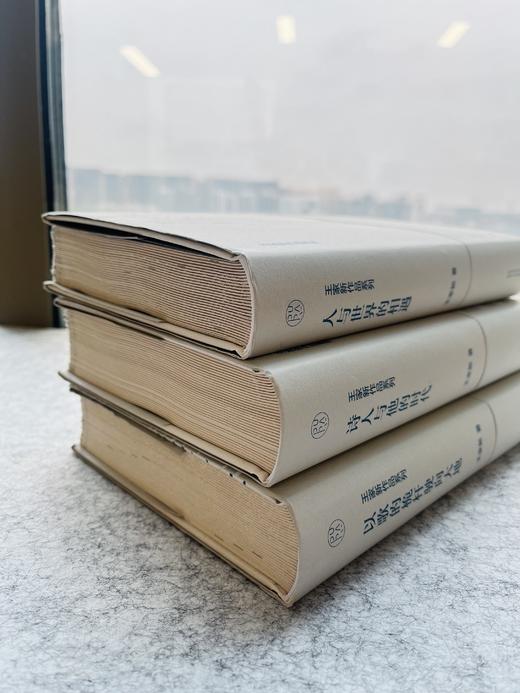 【名家题词毛边本】纯粹 王家新作品系列 商品图4