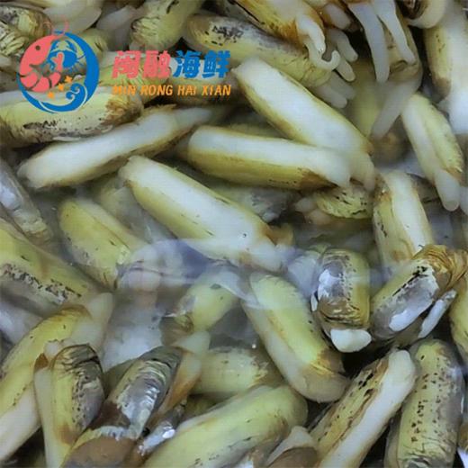 鲜活海蛏 /斤 商品图0