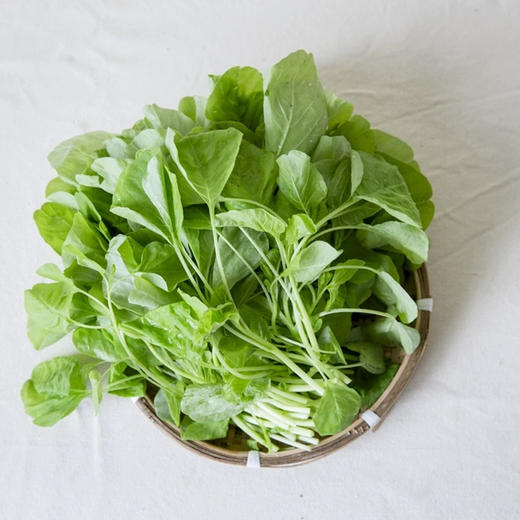 有机青米苋500g 商品图1