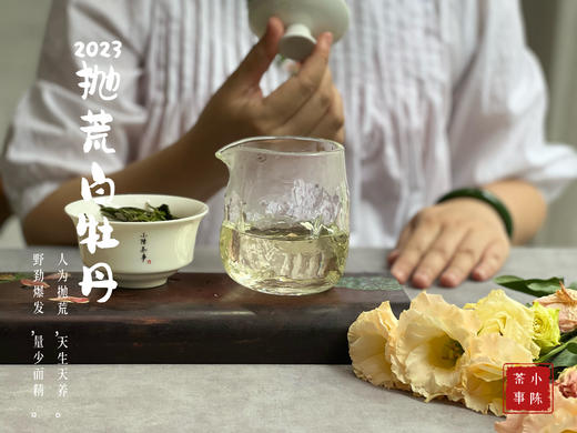 【2023春茶来了】七里香，夜丁香，玉兰花香，2023抛荒白牡丹，抛荒放养的竹里花香 商品图12