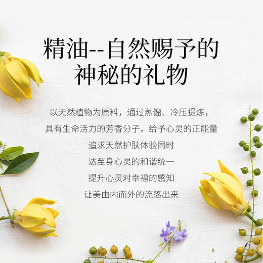 【双12大促】嘉媚乐依兰精油  提升情调 夫妻护理  润养头皮 按摩提拉  单方精油 商品图3