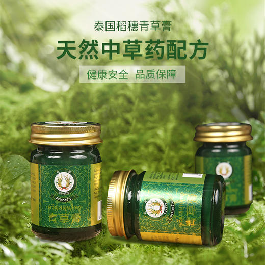 稻穗青草膏清凉油清凉油风油精蚊虫叮咬止痒晕车提神 50g/瓶 商品图0