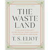 荒原 T.S艾略特 诺顿注释版 英文原版 The Waste Land: A Facsimile & Transcript of the Original Drafts Including the A 商品缩略图0