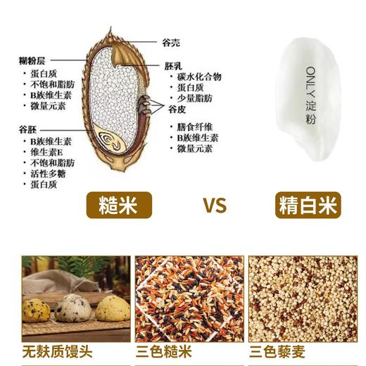 如何厨房控糖换粮 商品图0