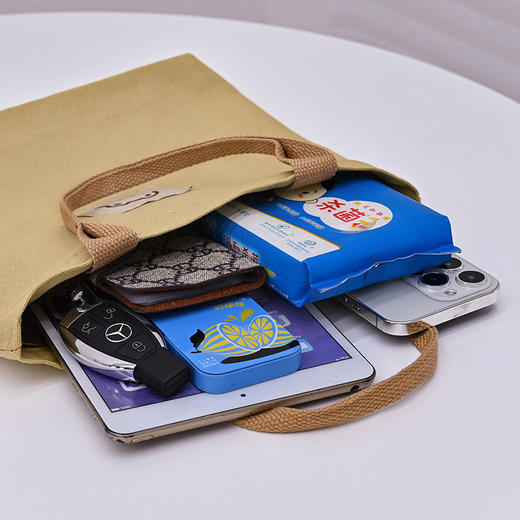 【可盐可甜迷你通勤包】耐脏不变形，百搭随意好搭配，小众日系帆布手提包包大容量上班族通勤便当包森系简约百搭收纳包sh 商品图2