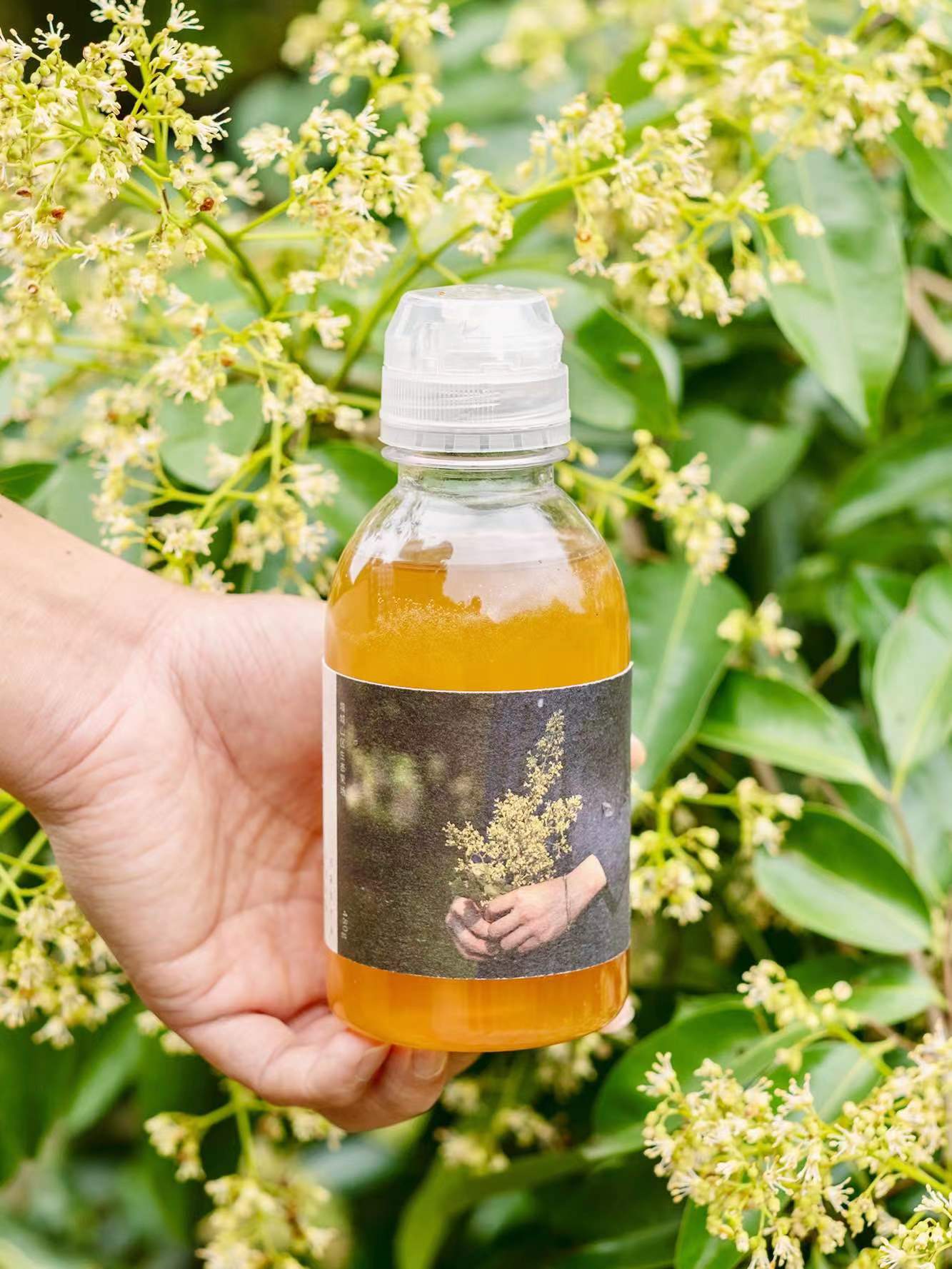 百花蜜：甜蜜之源，天然滋养