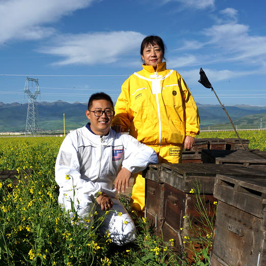 高原王浆 采自3500米青藏高原 出口日本好王浆 商品图4