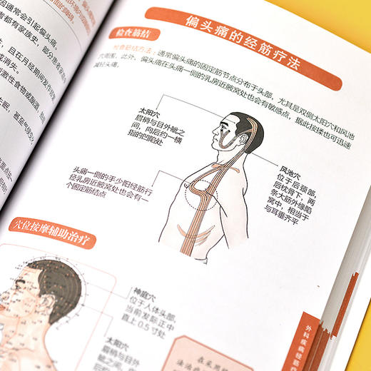 图解十二经络调筋术 图鉴系列全新升级版 商品图3