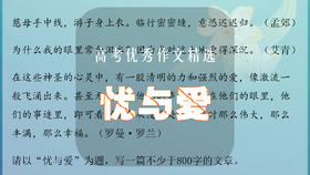 高考优秀作文精选：忧与爱