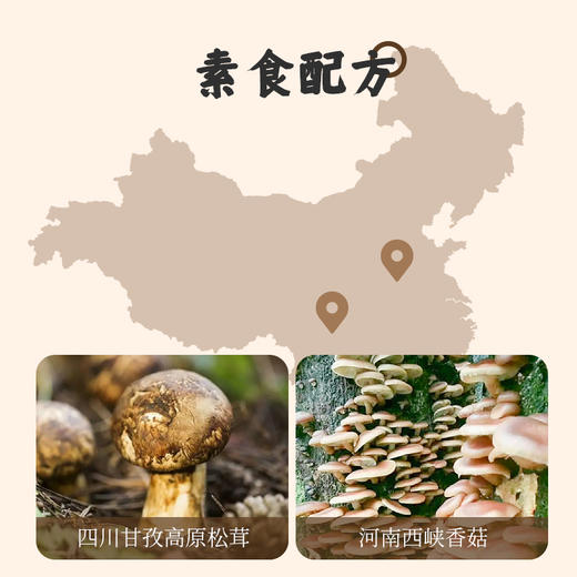 应物松茸香菇素蚝油288g 商品图2
