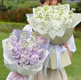 毕业季花束---心怀浪漫（紫罗兰花束）