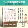 图解十二经络调筋术 图鉴系列全新升级版 商品缩略图1