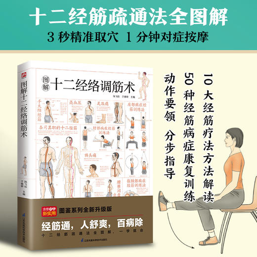 图解十二经络调筋术 图鉴系列全新升级版 商品图1