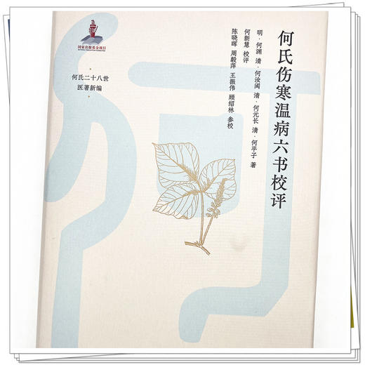 何氏伤寒温病六书校评 明-何渊 著 中国中医药出版社 何氏二十八世医著新编 古典医籍 伤寒温病 书籍 商品图4