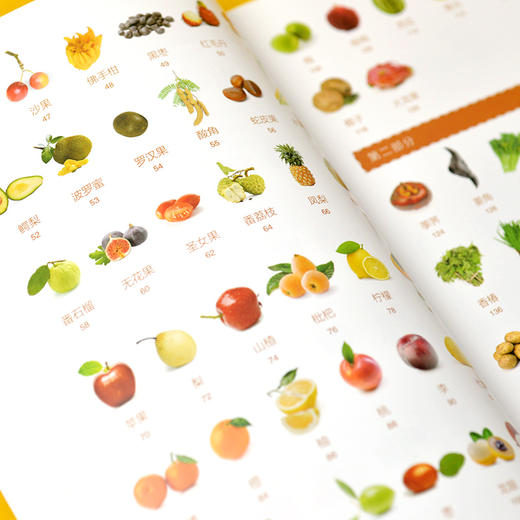 常见果蔬轻图鉴 图鉴系列全新升级版 商品图2